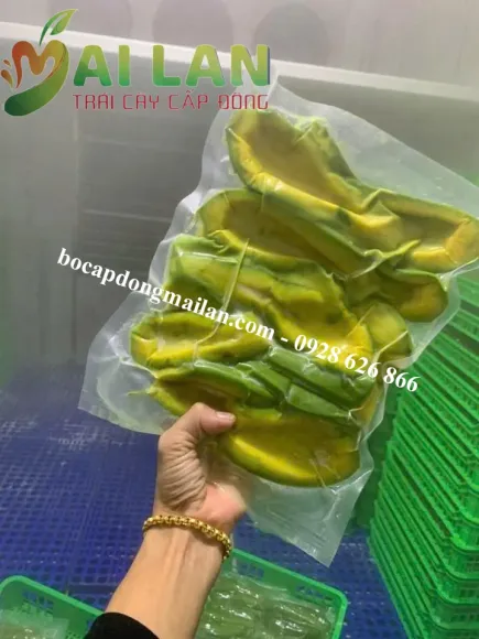 Cách Bảo Quản Bơ Đúng Cách: Bơ Tươi Và Bơ Cấp Đông Giữ Được Bao Lâu?