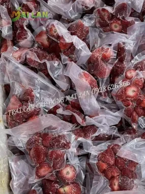 DÂU TÂY CẤP ĐÔNG MAI LAN – TÚI 100G