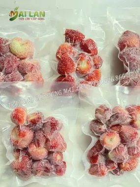 DÂU TÂY CẤP ĐÔNG MAI LAN – TÚI 100G