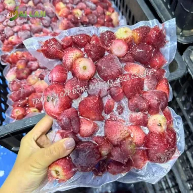 Dâu Tây Cấp Đông Mai Lan – Túi 1kg