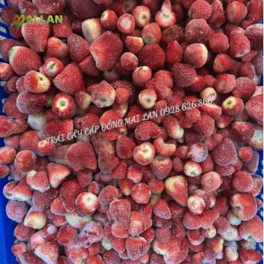 DÂU TÂY CẤP ĐÔNG MAI LAN – TÚI 100G