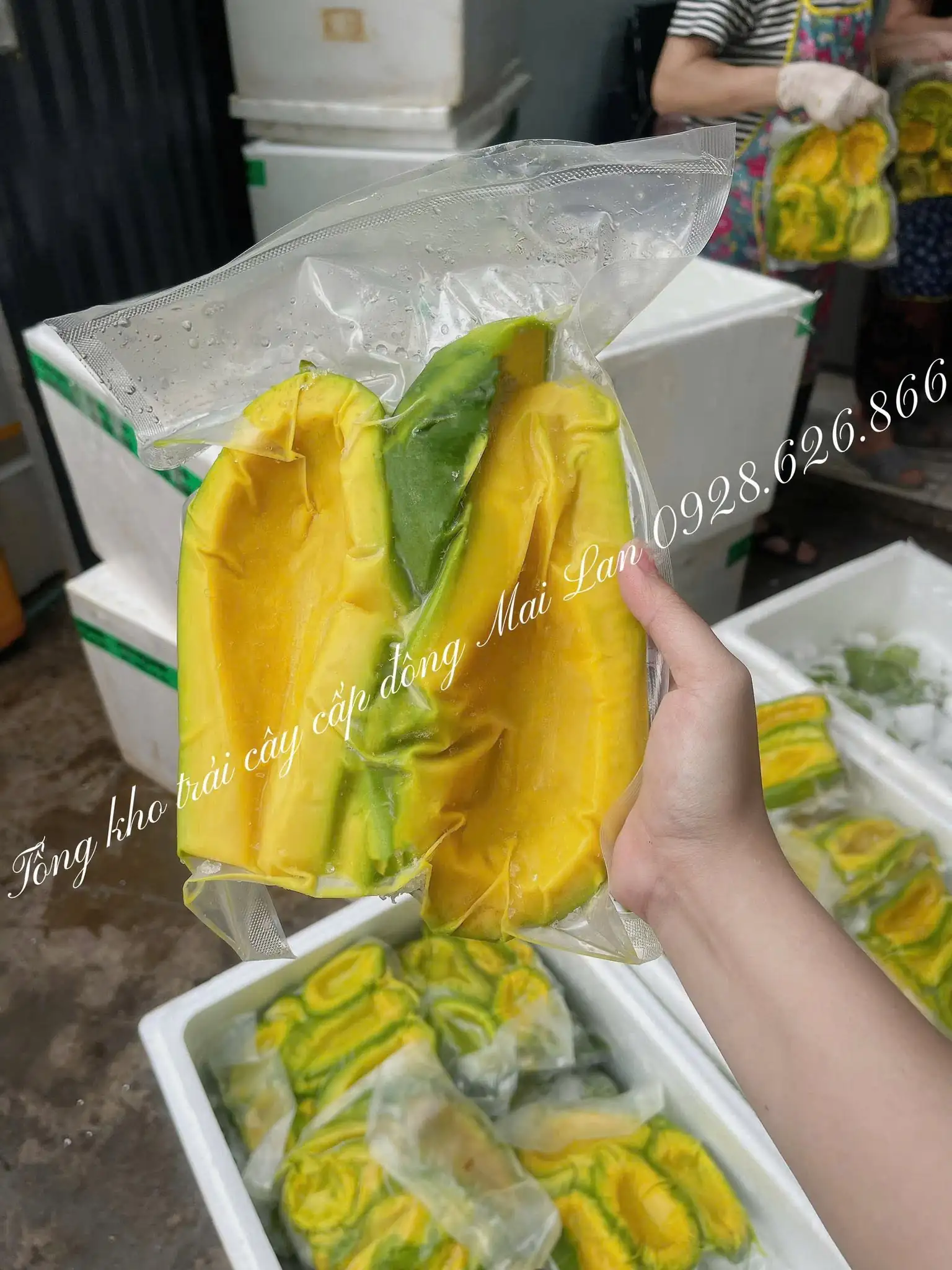 CÂU CHUYỆN VỀ CHÚNG TÔI