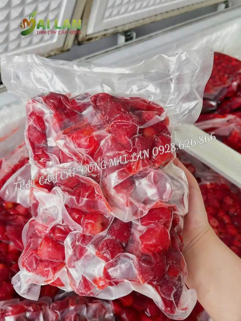 DÂU TÂY CẤP ĐÔNG MAI LAN – TÚI 100G