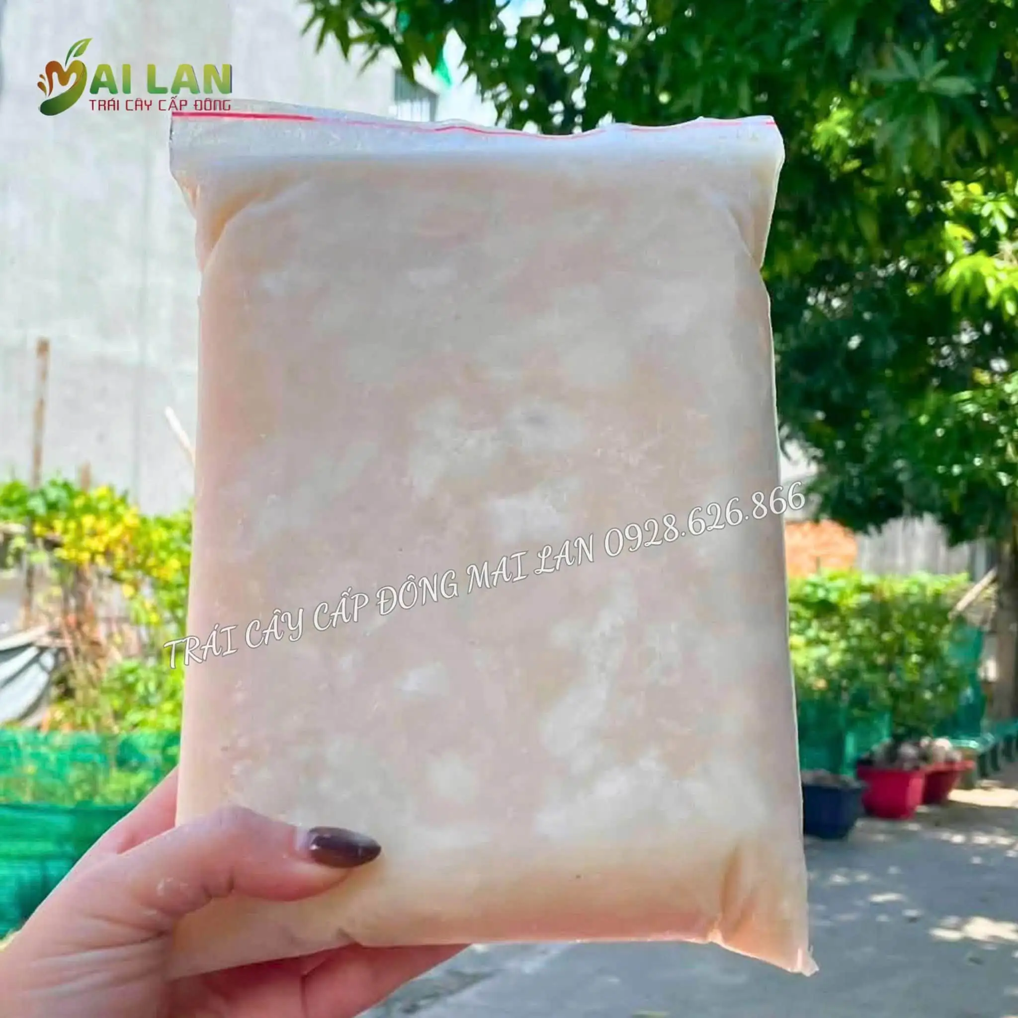 Mãng Cầu Tách Hạt Nguyên Tép – Đóng Túi Zip 1kg