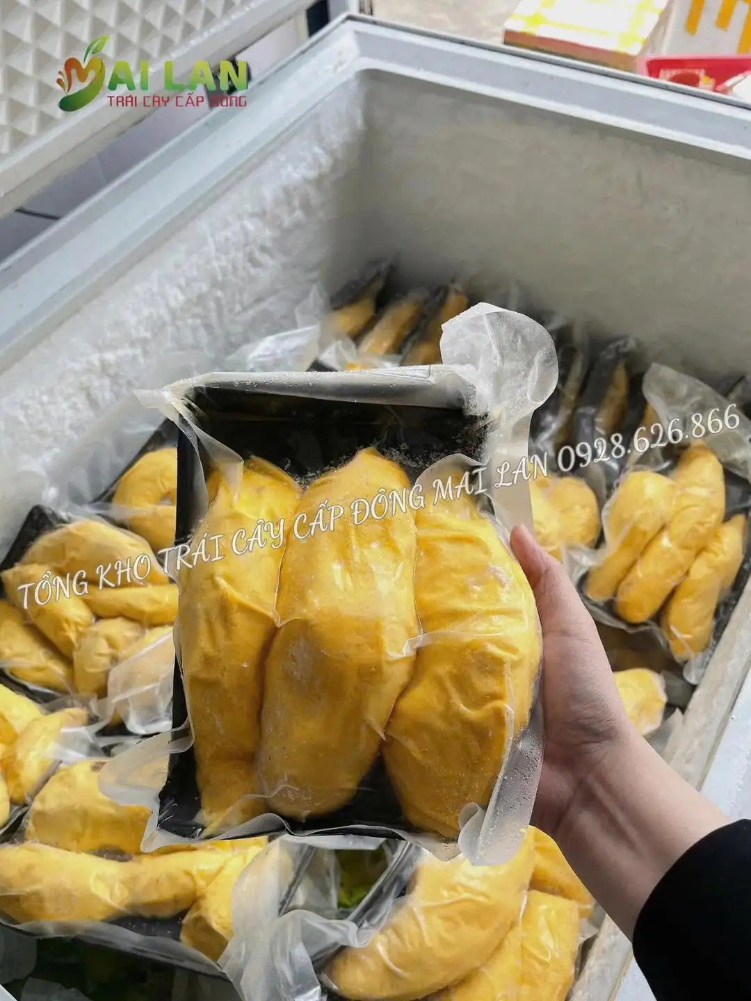 Sầu riêng cấp đông