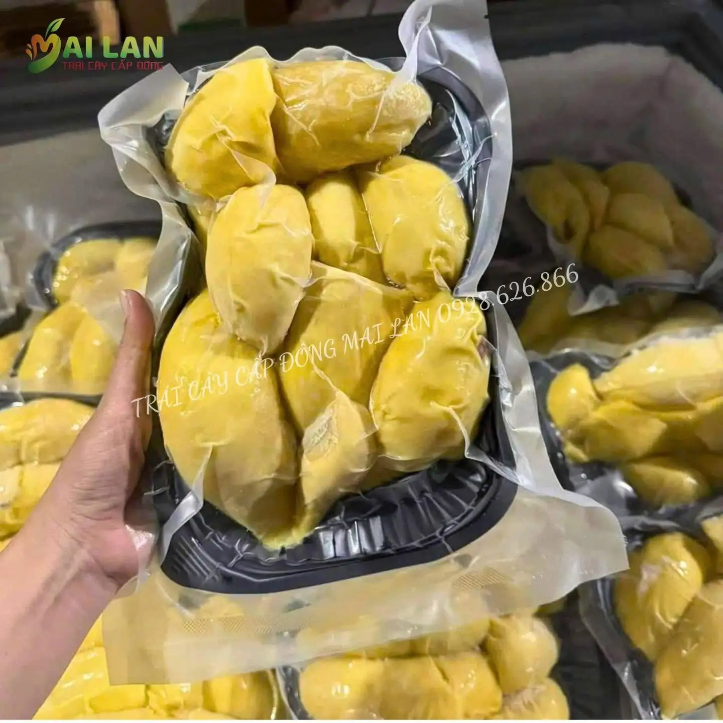 Sầu riêng cấp đông