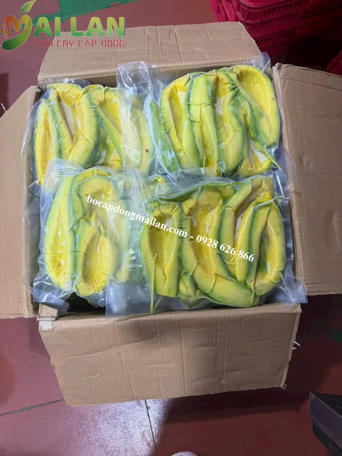 Bơ Cấp Đông giá tốt
