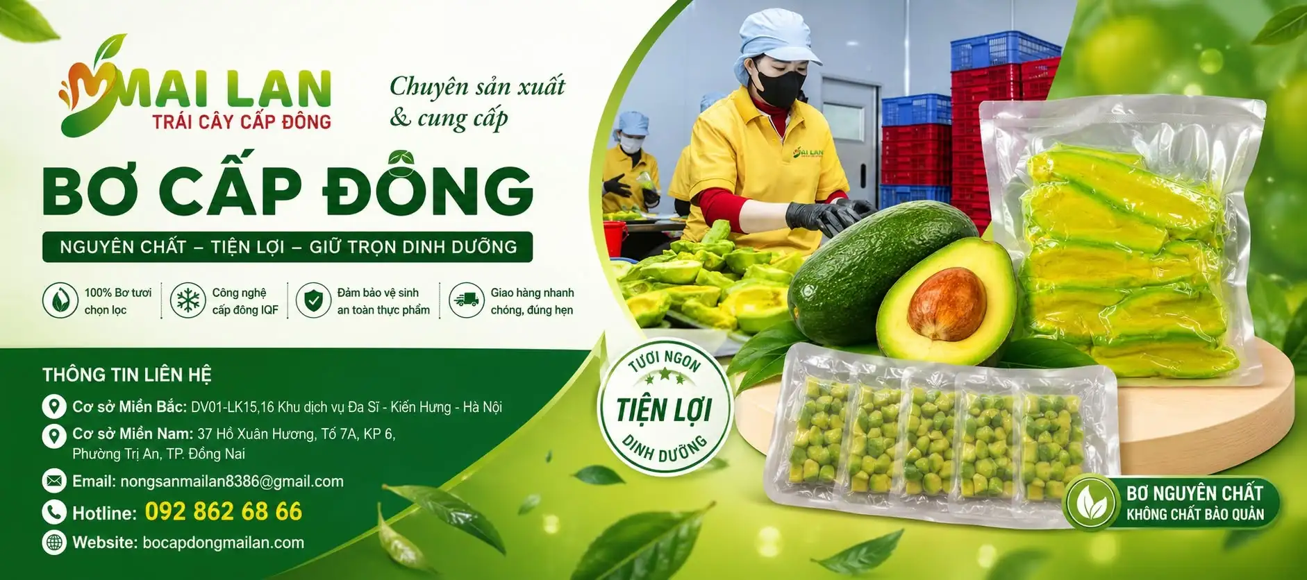 BƠ CẤP ĐÔNG MAI LAN BƠ CẤP ĐÔNG MAI LAN