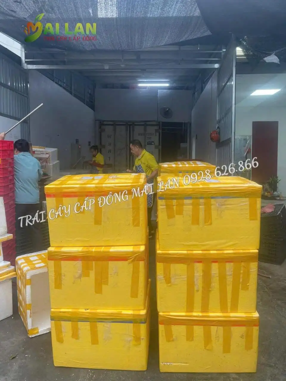 bơ cấp đông giá sỉ