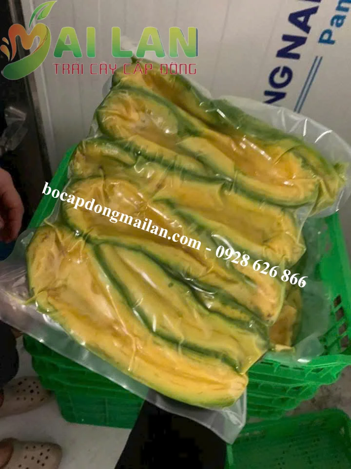 bơ cấp đông giá sỉ